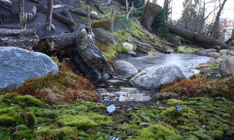 Illustration for article titled MOSS